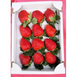 qfbNX_ʕEt[c   C`S _yzsnFEkCEꌧEkEElEBzy1353721z