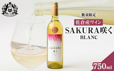 [数量限定]佐倉産初のワイン!混醸辛口白ワイン 750ml×1本[配送不可地域:離島]