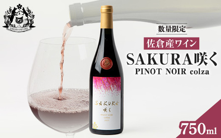 [数量限定]佐倉産初のワイン!ピノ・ノワール2023 750ml×1本[配送不可地域:離島]