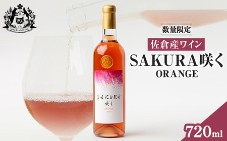 [数量限定]佐倉産初のワイン!ピノ・グリのオレンジワイン 720ml×1本[配送不可地域:離島]