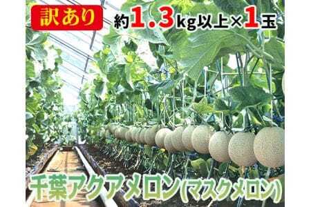 No.061 y1.3kgȏ×1ʁz󂠂tANAi}XNj