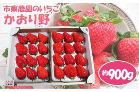 [市東農園のいちご]かおり野 約900g