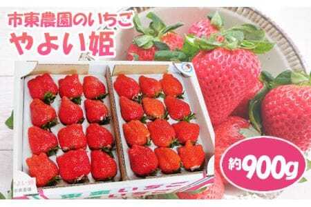 [市東農園のいちご]やよい姫 約900g