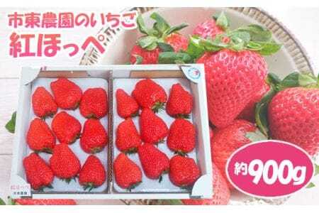 [市東農園のいちご]紅ほっぺ 約900g