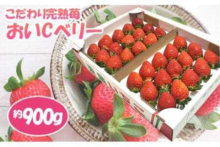 こだわり完熟苺(おいCベリー)900g