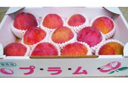 No.090 プラム（ソルダム）約2～2.2kg