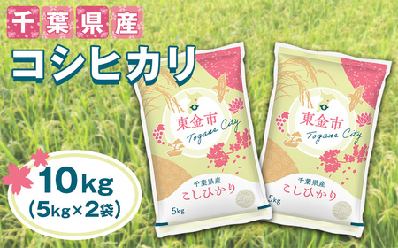 [令和7年産]千葉県産コシヒカリ10kg(5kg×2袋)