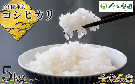 No.302 yߘa7NYztYRVqJiāj5kg ^    Ђ Â S  ߂Ă t