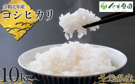 No.306 yߘa7NYztYRVqJiāj10kg ^    Ђ Â S  ߂Ă t