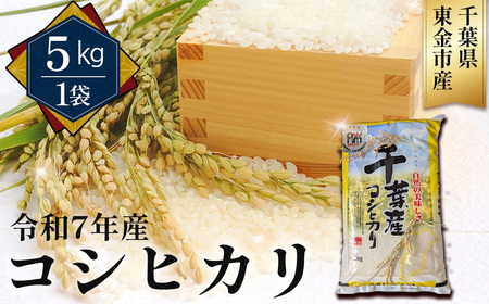 No.342 ߘa7NY RVqJ5kgitsYj ^   Ђ   S Ö ٓ H s t