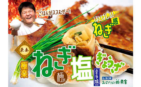 No.345 Ɋy˂傤5܃Zbg@20×5 ^ Lq MEU  lM ɂɂ ܂ yȂ [ H Xg̖ s t