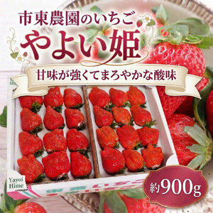 4月収穫 苺 やよい姫 約900g 完熟 いちご やよいひめ ヤヨイヒメ イチゴ ichigo itigo フルーツ 新鮮 ふるーつ くだもの 果物 旬 甘い くだもの 大粒 食べ応え ジューシー 朝採れ 数量限定 プレゼント ギフト 朝食 スイーツ 酸味 甘味 国産 贈答用 家庭用 市東農園 千葉 東金