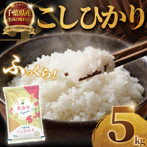 【令和7年産】 千葉県産 こしひかり 5kg ｜ 米 お米 こめ コメ NB