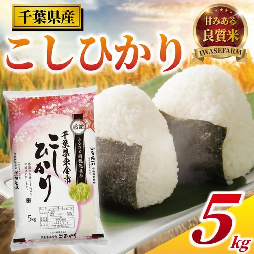 【令和7年産】 千葉県産 コシヒカリ 5kg ｜ 米 お米 こめ コメ IW
