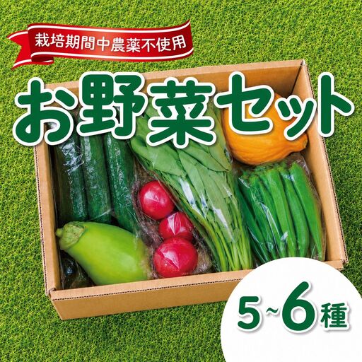 野菜セット 旬のお野菜 5〜6品目 野菜