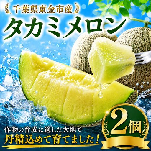 タカミメロン 2個 高糖度 約2kg メロン 青肉