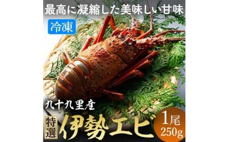 甘い ! 旨い ! 活け〆 リキッド 冷凍 伊勢海老 (刺身用)  約250g/1尾入り 伊勢海老 伊勢海老 伊勢海老 伊勢海老 伊勢海老