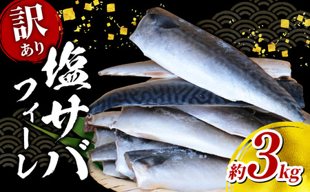 訳あり 塩サバ フィーレ 3kg 鯖 鯖 鯖 鯖 鯖 鯖 鯖 鯖 サバ サバ サバ サバ サバ