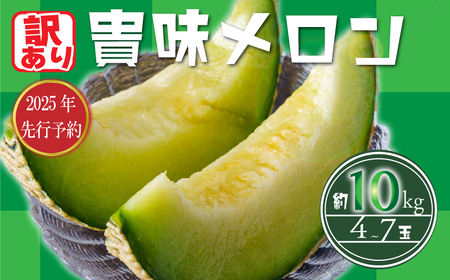 訳あり タカミメロン 約10kg メロン メロン メロン メロン メロン メロン