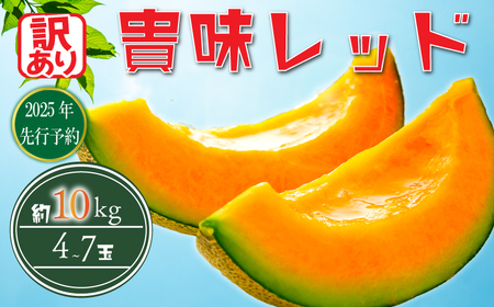 訳あり タカミメロン 約10kg メロン メロン メロン メロン メロン メロン