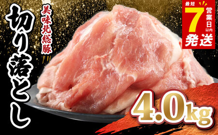 国産豚肉 切り落とし 4.0kg 切り落とし 切り落とし 切り落とし 切り落とし