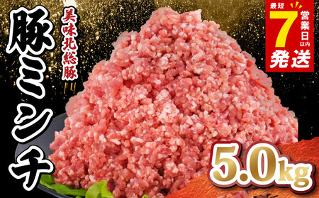 国産 豚肉 挽き肉 5.0kg 挽肉 挽肉 挽肉 挽肉