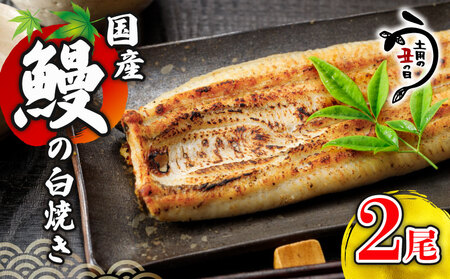 国産鰻の白焼き 2尾 うなぎ ウナギ 鰻 うなぎ うなぎ うなぎ