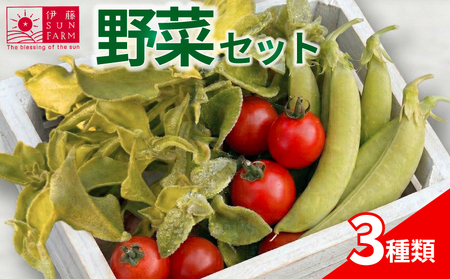 野菜セット ミニトマト スナップエンドウ アイスプラント