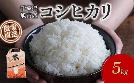 [先行予約] 令和7年産 5kg 新米 コシヒカリこめ こめ こめ こめ こめ こめ こめ こめ