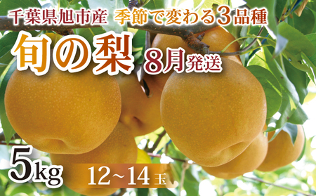 千葉県産 約5kg 8月発送 農家直送 旬の梨 梨梨梨梨梨 梨