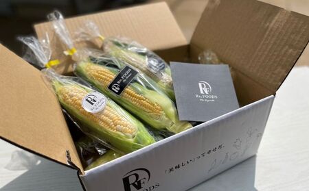 とうもろこし 白&黄 8本 とうもろこし とうもろこし とうもろこし とうもろこし とうもろこし とうもろこし
