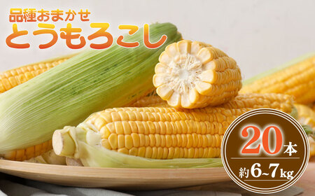 とうもろこし 20本 約6〜 7kg 品種 おまかせ とうもろこし とうもろこし とうもろこし とうもろこし とうもろこし