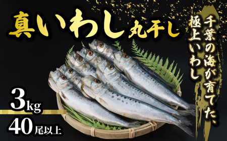 킵 ۊ  3kg 킵 킵 킵 킵 킵