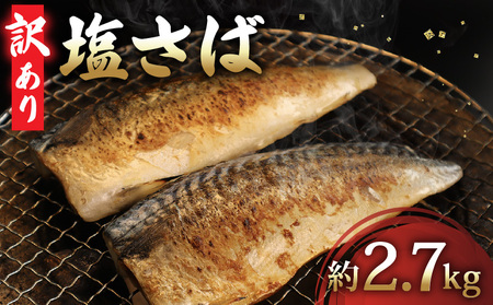 訳あり 塩さば フィーレ 約2.7kg サバ サバ サバ サバ サバ サバ