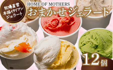 ジェラート 12個 ( プレミアム ジェラート4個入・6種以上入アソート) アイス おまかせ 牧場直営 イタリアンジェラート アイスクリーム ミルク 牧場 スイーツ デザート 贈答 プレゼント 贈り物 人気 ホームオブマザーズ 宇畑牧場
