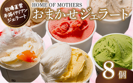 ジェラート 8個 ( プレミアム ジェラート2個入・4種以上入アソート)アイス おまかせ 牧場直営 イタリアンジェラート アイスクリーム ミルク 牧場 スイーツ デザート 贈答 プレゼント 贈り物 人気 ホームオブマザーズ 宇畑牧場