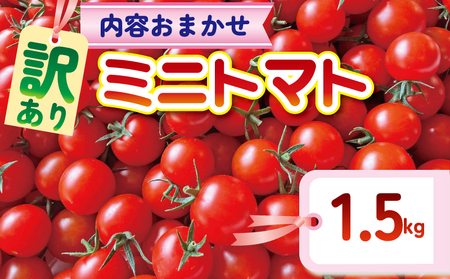 y󂠂z ~jg}g 1.5kg _ i킨܂ ^ 2ȏ