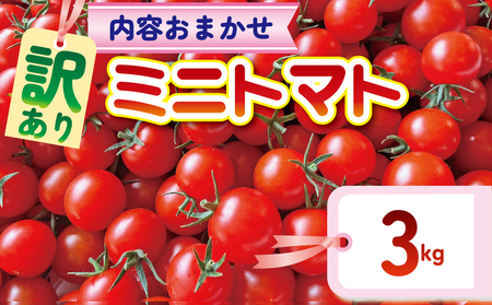 [訳あり] ミニトマト 3kg ＼ 品種おまかせ / 2種以上