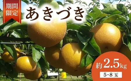 あきづき 約2.5kg 梨 なし 梨 梨 梨 梨 梨