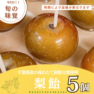 梨飴 5個 [ 梨 ]