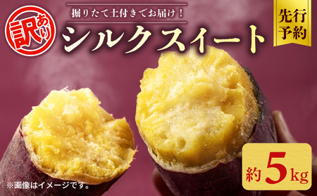 [先行予約] 訳あり シルクスイート 約 5kg さつまいも 2025年 11月以降順次発送予定