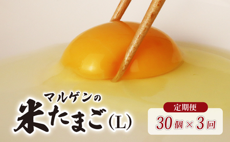 [ 定期便 3回 ] 卵 マルゲンの米たまご Lサイズ 30個