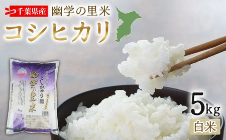 ߘa7NY  Hw̗ RVqJ 5kg y  z