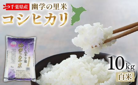 ߘa7NY  Hw̗ RVqJ 10kg y  z