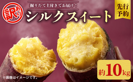[先行予約] 訳あり シルクスイート 約 10kg さつまいも 2025年 11月以降順次発送予定 [ さつまいも ]