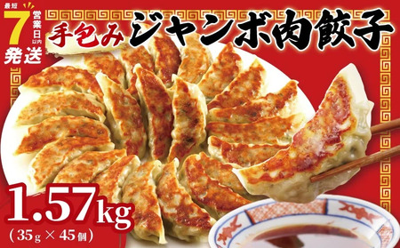 肉餃子 手包み ジャンボ 餃子 45個 冷凍 15個 × 3パック [ 餃子 ]