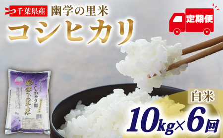 �y�����6��z �ߘa7�N�Y �� �H�w�̗��� �R�V�q�J�� 10kg �y �R�V�q�J�� �z