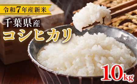 令和7年産 米 こしひかり 10kg [ 米 ]