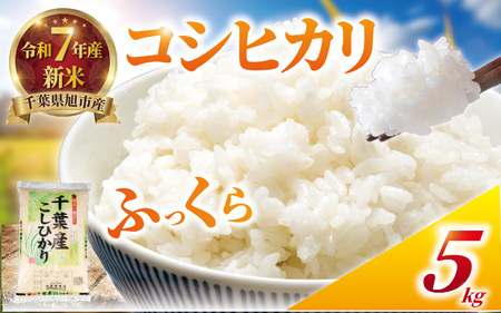 [令和7年産] 新米 スピード発送 コシヒカリ 5kg [新米]