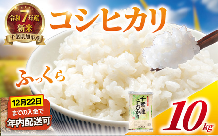 【令和7年産】 新米 年内発送 コシヒカリ 10kg 【新米】